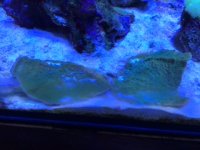 photo (14).JPG
