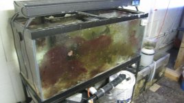 IMG_6874.jpg