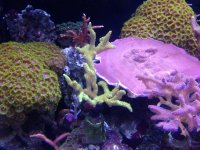 IMG_0997.jpg