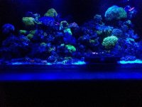 IMG_1208.jpg