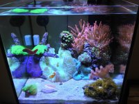 IMG_1038.jpg