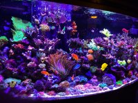 ImageUploadedByTapatalk1400536752.809391.jpg