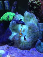 IMG_1046.jpg