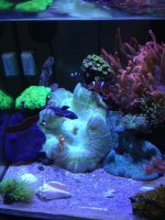 IMG_1047.jpg
