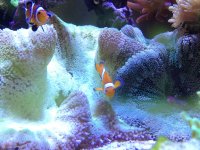 IMG_1129.jpg