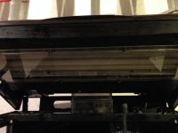 IMG_0302.jpg