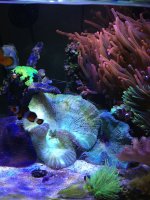 IMG_1137.jpg