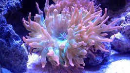 20140410_200949.jpg