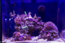 FTS-Feb272014.jpg