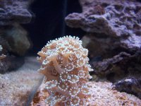 000_5250.JPG