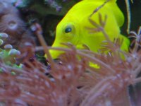 fish 018.jpg