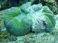 IMG_1443.JPG IMG_1443.JPG