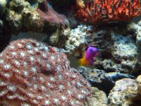 sponge 7.jpg