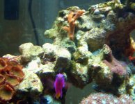 sponge 6.jpg