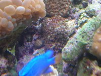 DSCN3062.jpg
