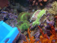 DSCN3063.jpg