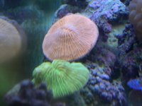 DSCN3088.jpg