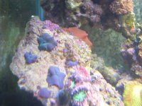 DSCN3090.jpg