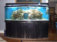 PICs of 155 Bow 002.jpg