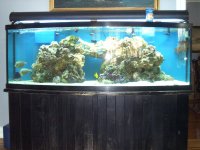 PICs of 155 Bow 004.jpg