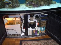 PICs of 155 Bow 007.jpg