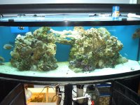 PICs of 155 Bow 008.jpg