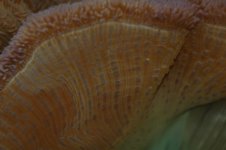 DSC_0026.JPG