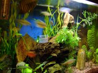 freshwater 002.jpg