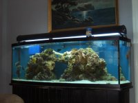 PICs of 155 Bow 010.jpg