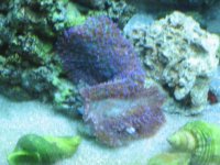 October 28 2006 010.jpg