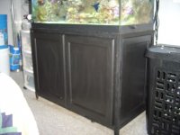 Painted Doors1.jpg