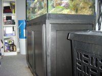 Painted Doors2.jpg