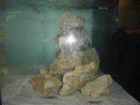 180 reef project 003.jpg