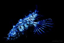 filetaiil.jpg filetaiil.jpg