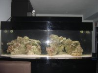 180 reef project 009.jpg