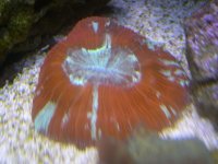 DSCN3073.jpg