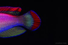 _JHL0024.JPG _JHL0024.JPG