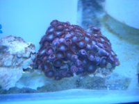 DSCN3100.jpg