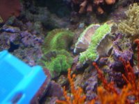 DSCN3063.jpg