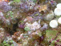 DSCF0639.JPG
