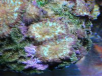 DSCN0365.jpg