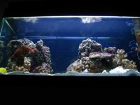 gc9n_new_aquascaping_477.jpg