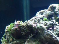gc9n_rock_639.jpg