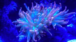 20140410_221041.jpg