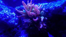 20140410_221148.jpg