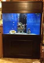 IMG_3413.jpg