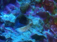 IMG_0948.jpg