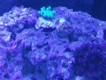 20130820_234332.jpg
