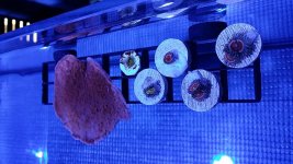 20140321_103027.jpg