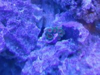 20130820_234339.jpg